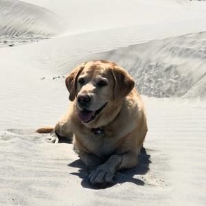 Meet your Posher, Charlene